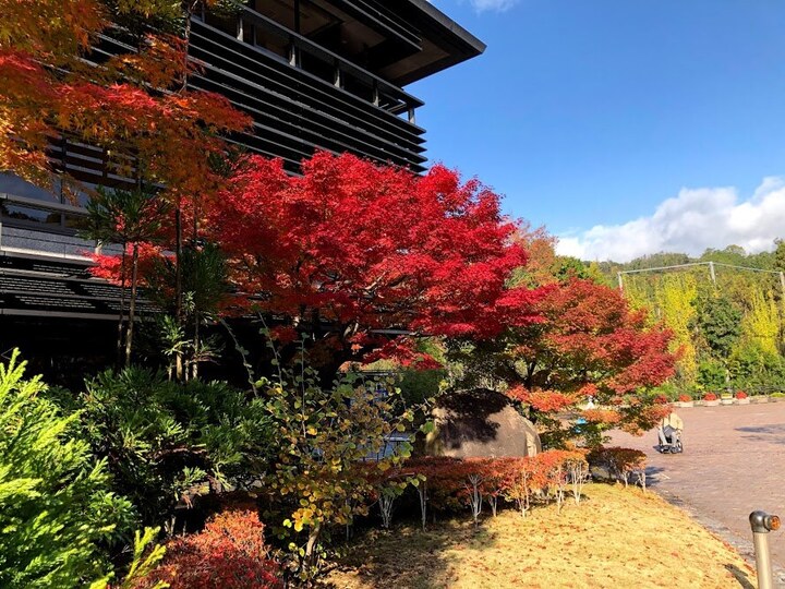 京都産業大学図書館の外観